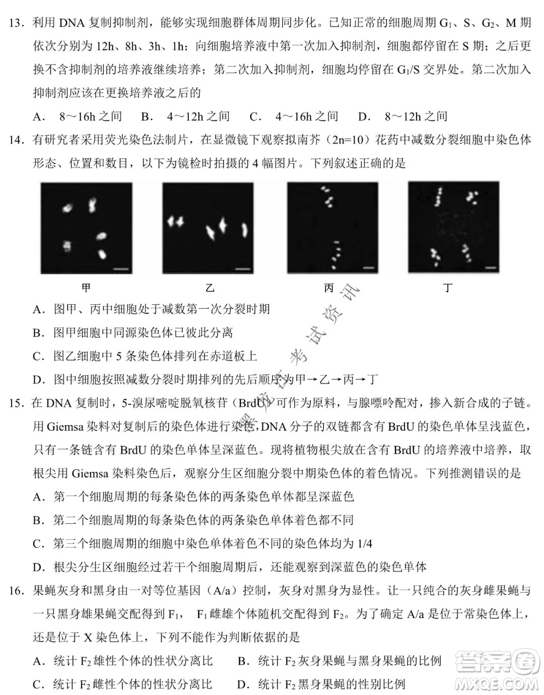 東北師大附中2019級(jí)高三年級(jí)第三次摸底考試生物試卷及答案