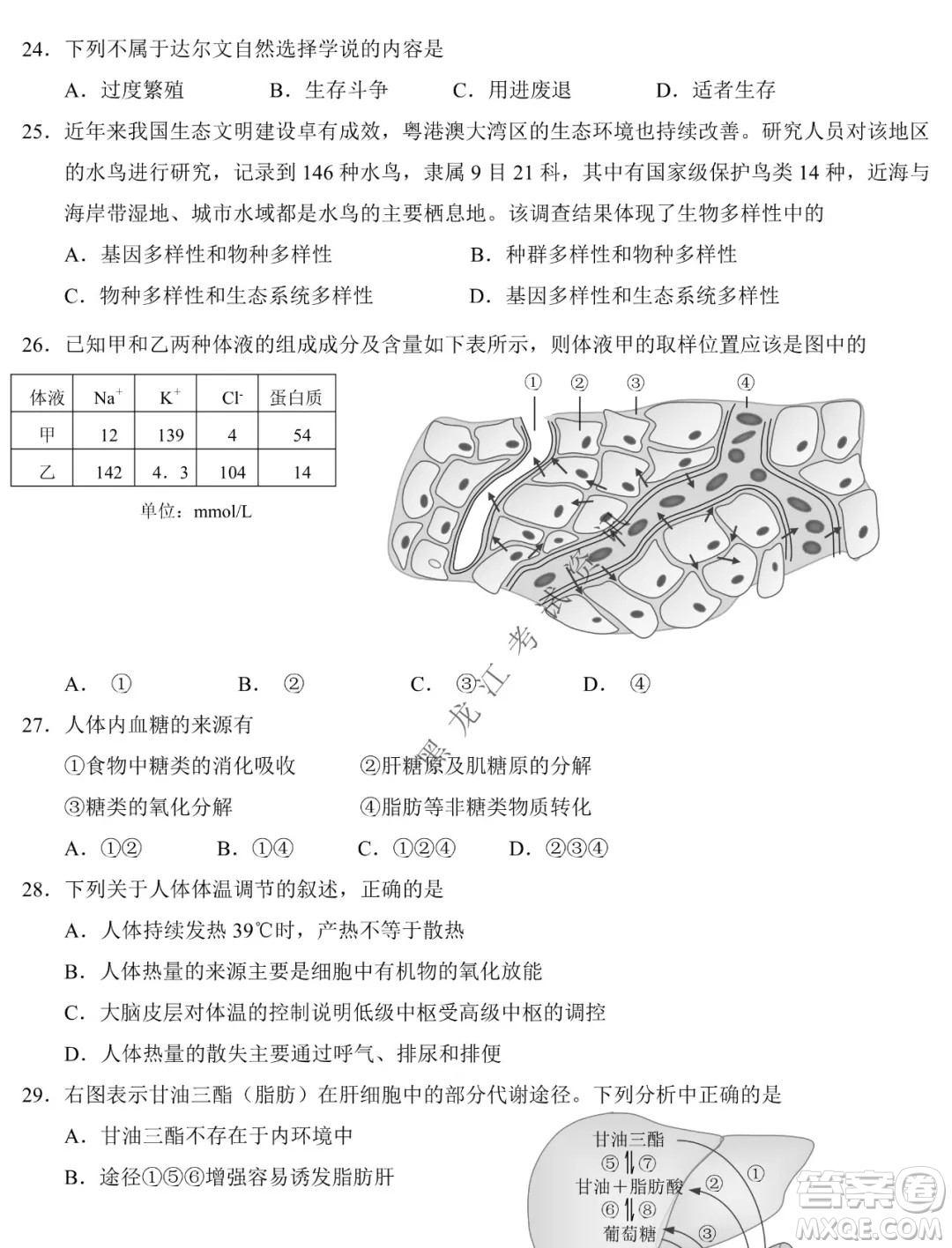 東北師大附中2019級(jí)高三年級(jí)第三次摸底考試生物試卷及答案