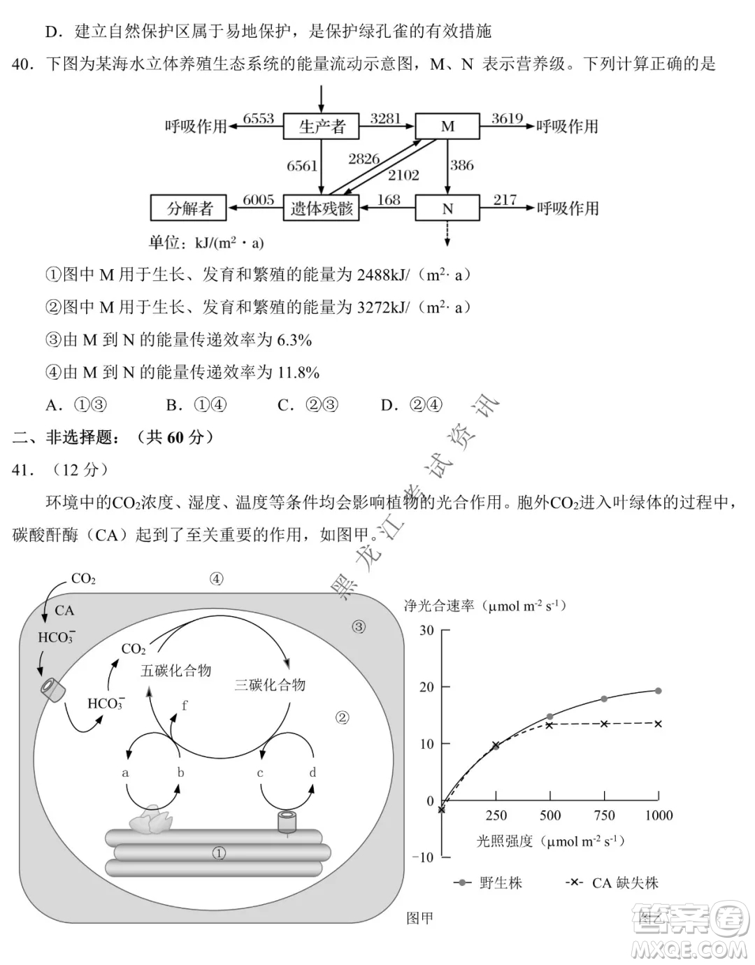 東北師大附中2019級(jí)高三年級(jí)第三次摸底考試生物試卷及答案