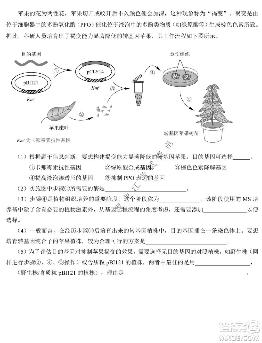 東北師大附中2019級(jí)高三年級(jí)第三次摸底考試生物試卷及答案