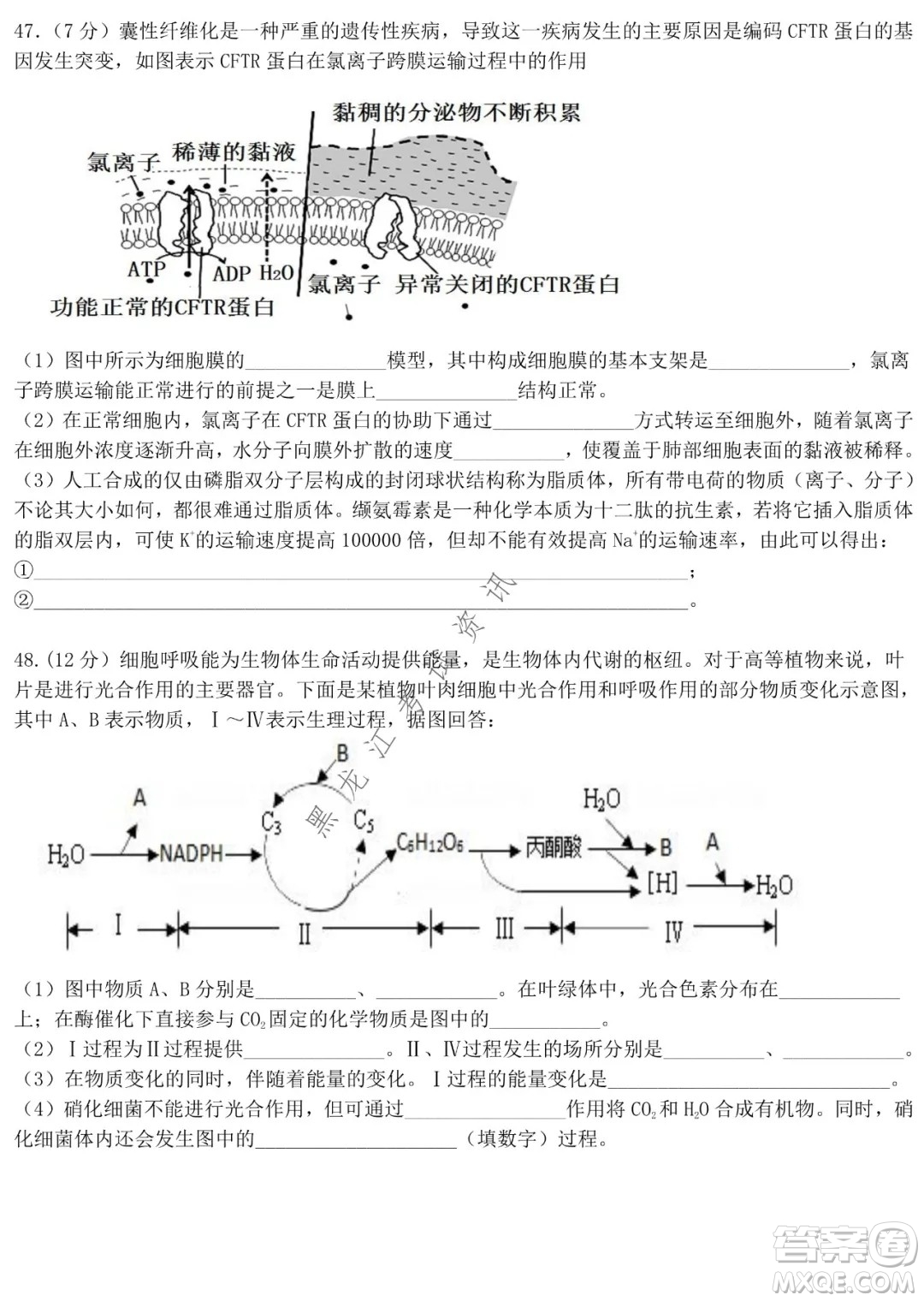 哈師大附中2021級高一上學(xué)期期末考試生物試題及答案