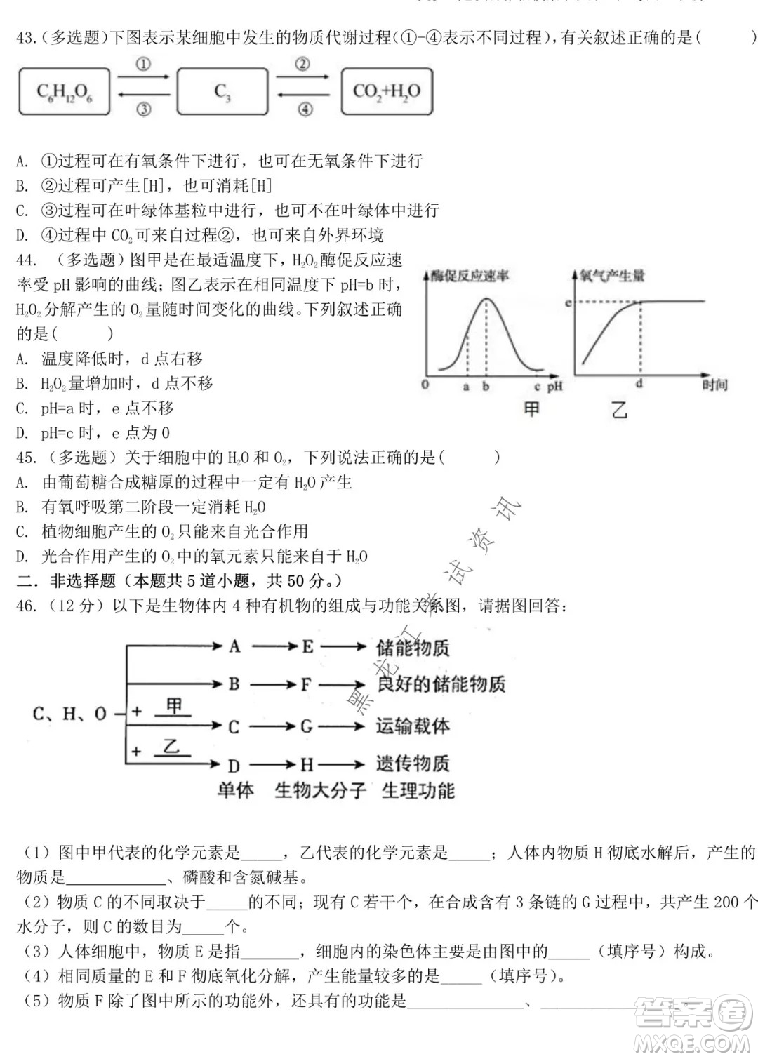 哈師大附中2021級高一上學(xué)期期末考試生物試題及答案