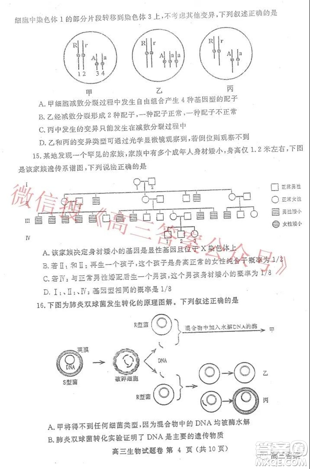 鄭州市2022年高中畢業(yè)年級第一次質(zhì)量預(yù)測生物試題及答案
