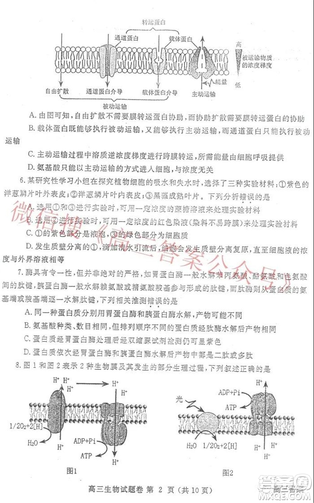 鄭州市2022年高中畢業(yè)年級第一次質(zhì)量預(yù)測生物試題及答案