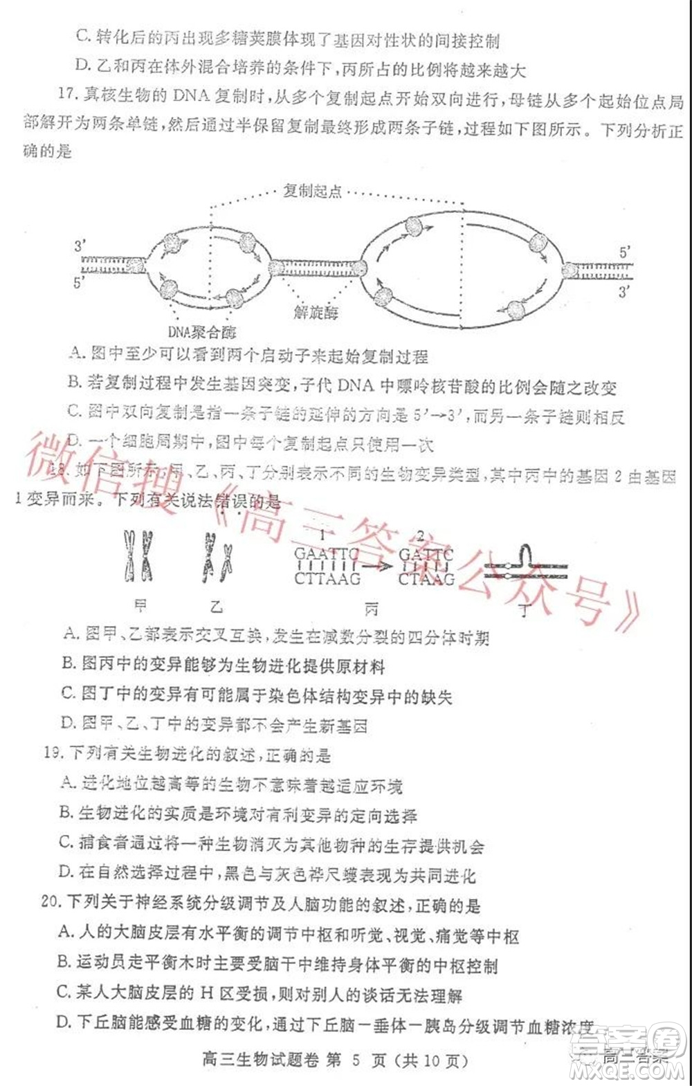 鄭州市2022年高中畢業(yè)年級第一次質(zhì)量預(yù)測生物試題及答案
