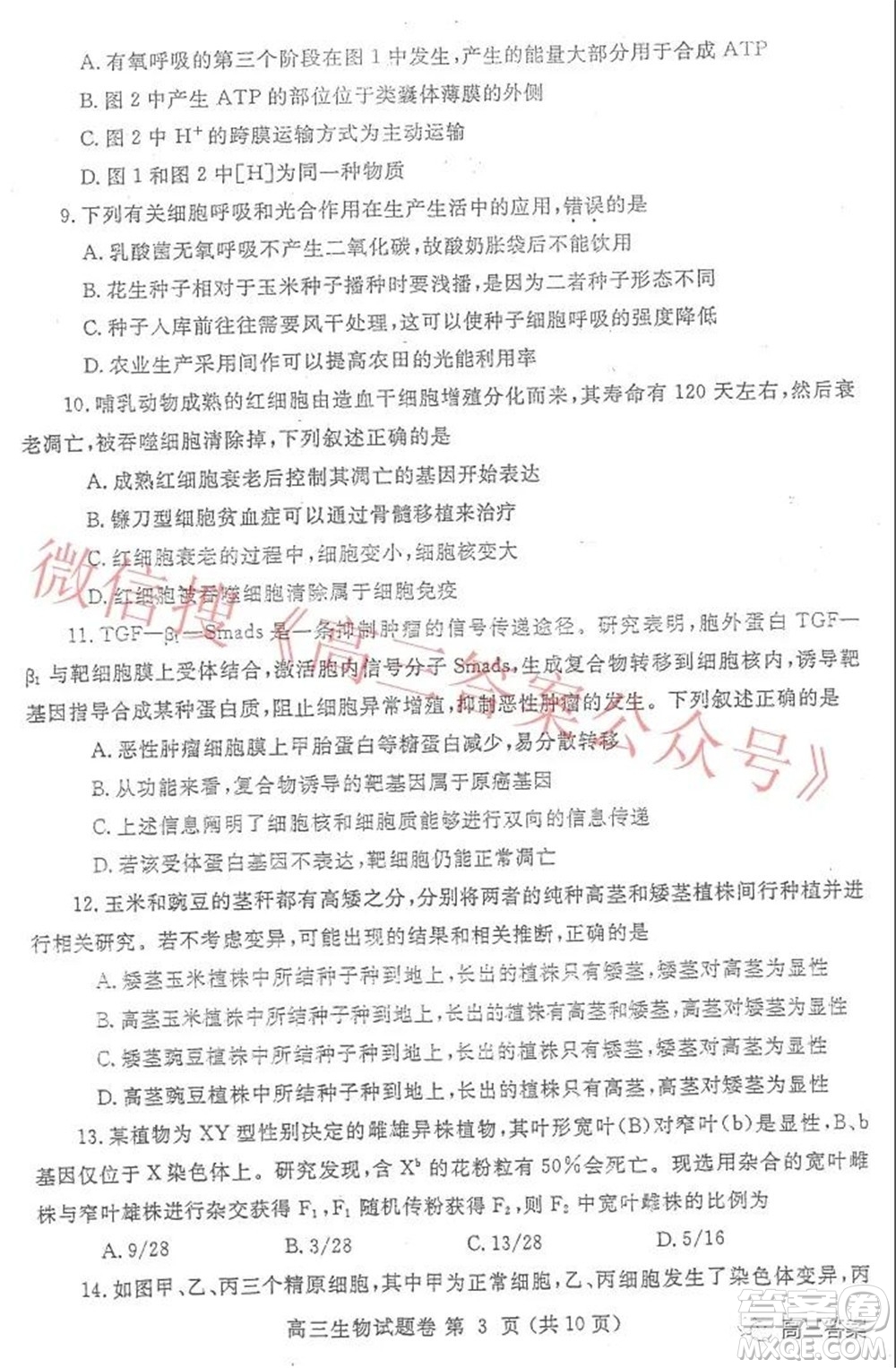 鄭州市2022年高中畢業(yè)年級第一次質(zhì)量預(yù)測生物試題及答案