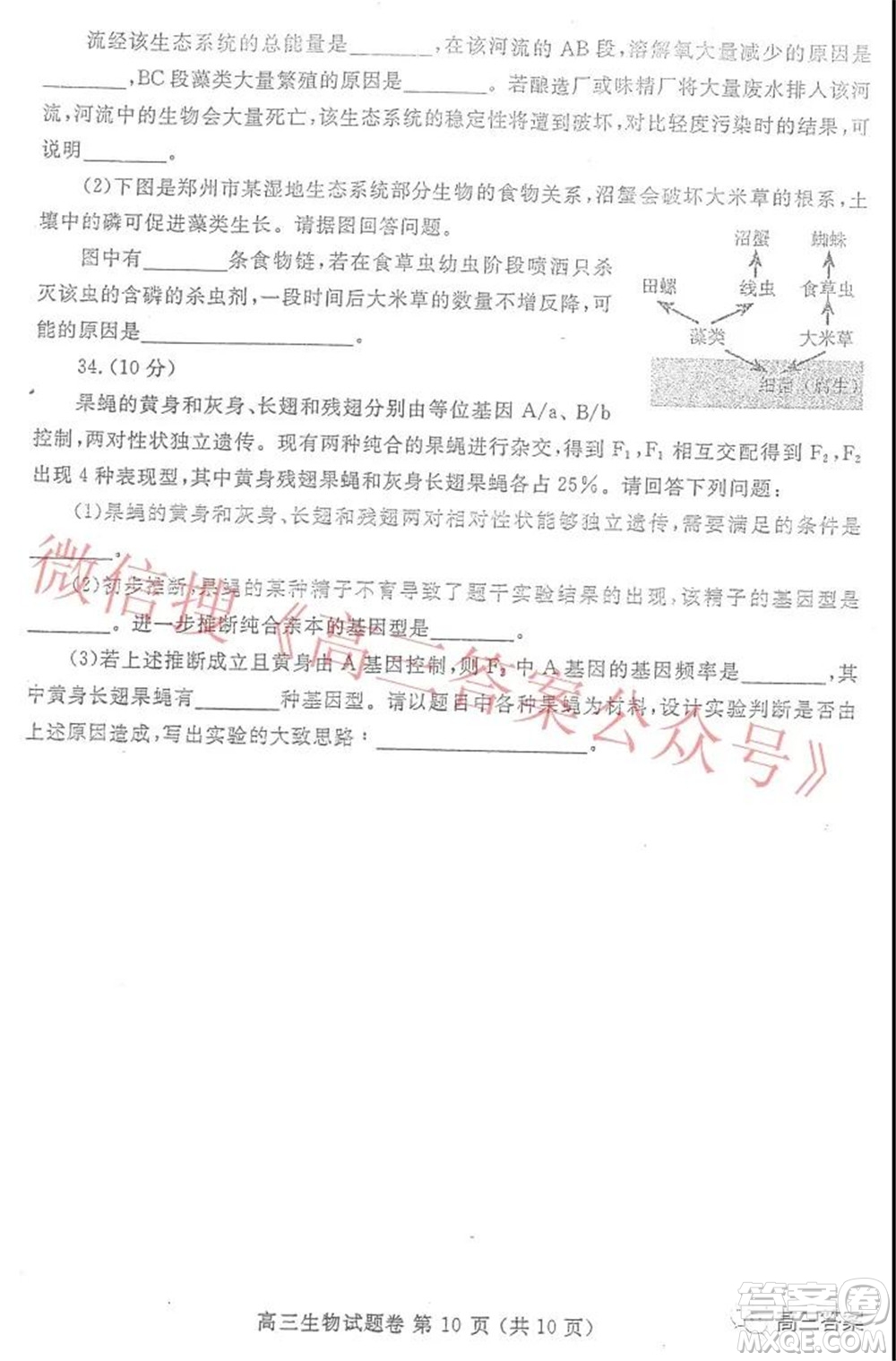 鄭州市2022年高中畢業(yè)年級第一次質(zhì)量預(yù)測生物試題及答案