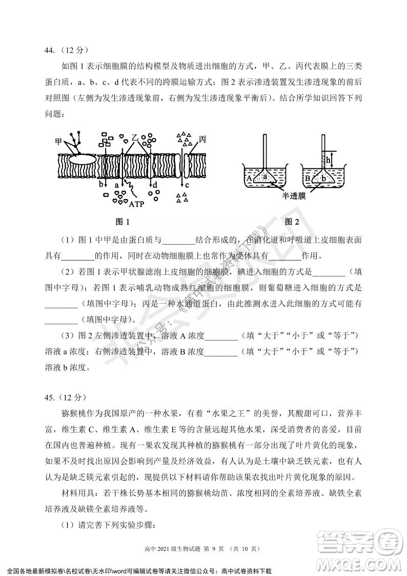 蓉城名校聯(lián)盟2021-2022學(xué)年度上期高中2021級(jí)期末聯(lián)考生物試題及答案