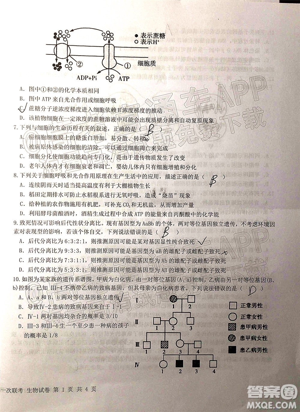 江西省五市九校協(xié)作體2022屆高三第一次聯(lián)考生物試卷及答案