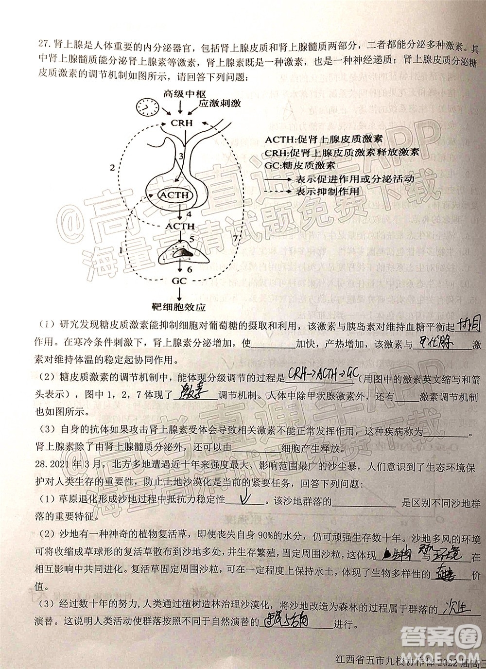 江西省五市九校協(xié)作體2022屆高三第一次聯(lián)考生物試卷及答案