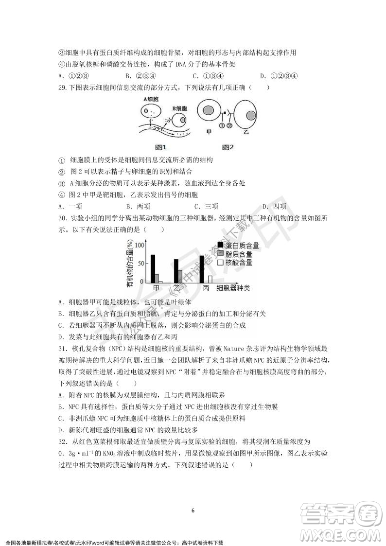 廣東省深圳實驗學校2021-2022學年高一上學期第二階段考試生物試題及答案