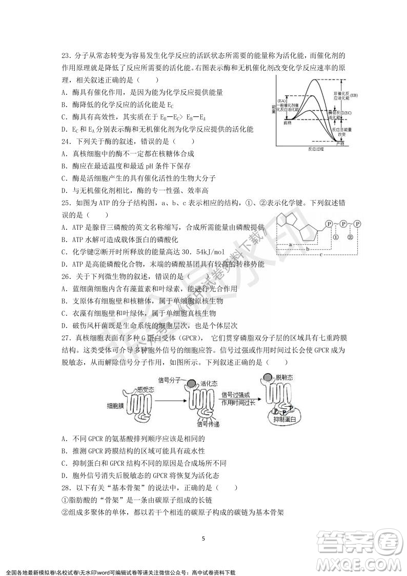 廣東省深圳實驗學校2021-2022學年高一上學期第二階段考試生物試題及答案