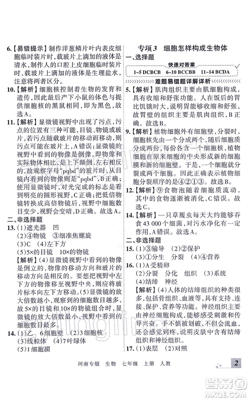 江西人民出版社2021王朝霞各地期末試卷精選七年級生物上冊RJ人教版河南專版答案