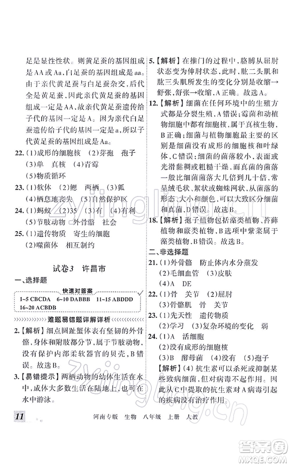 江西人民出版社2021王朝霞各地期末試卷精選八年級(jí)生物上冊(cè)RJ人教版河南專版答案