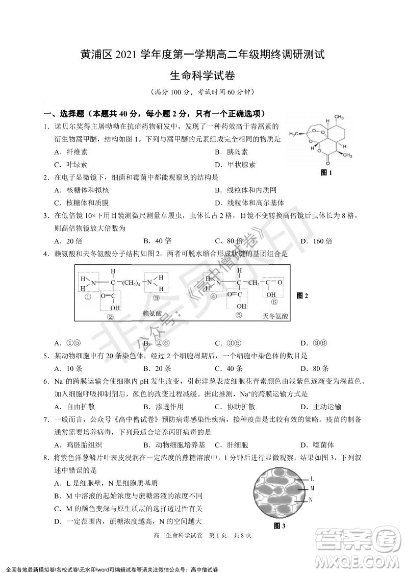 上海黃浦區(qū)2021學(xué)年度第一學(xué)期高三年級(jí)期終調(diào)研測試生命科學(xué)試題及答案