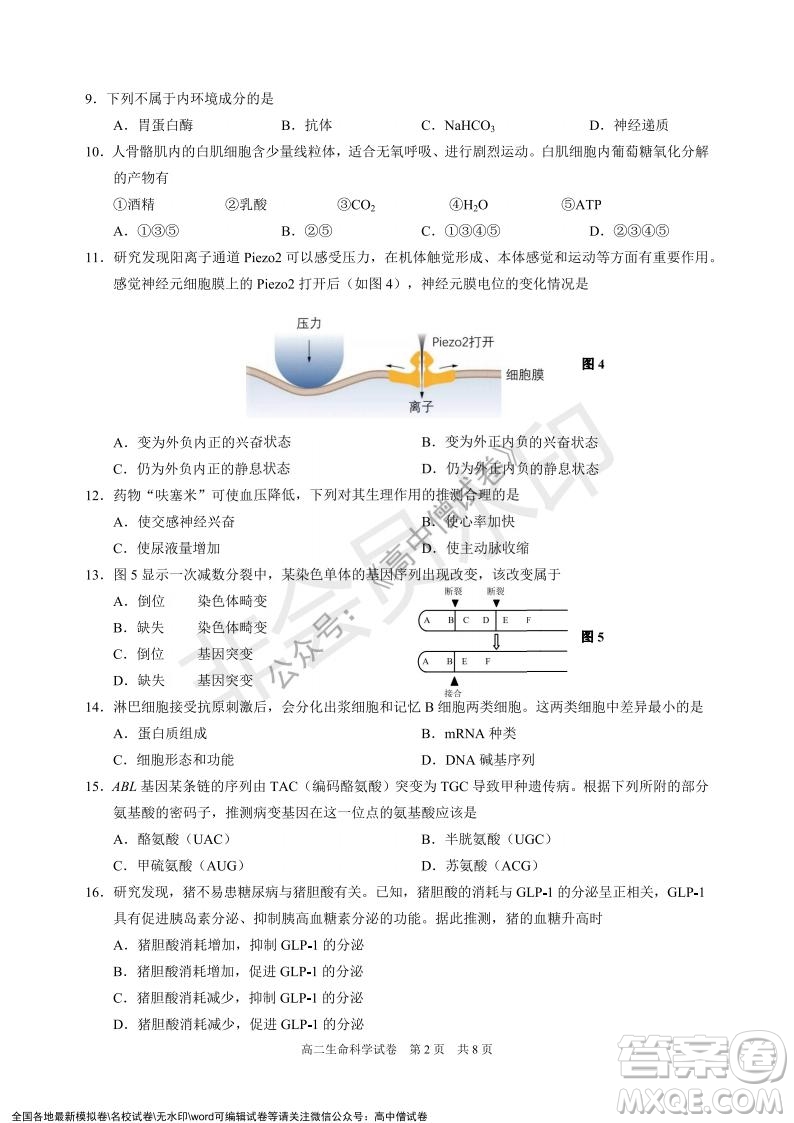 上海黃浦區(qū)2021學(xué)年度第一學(xué)期高三年級(jí)期終調(diào)研測試生命科學(xué)試題及答案