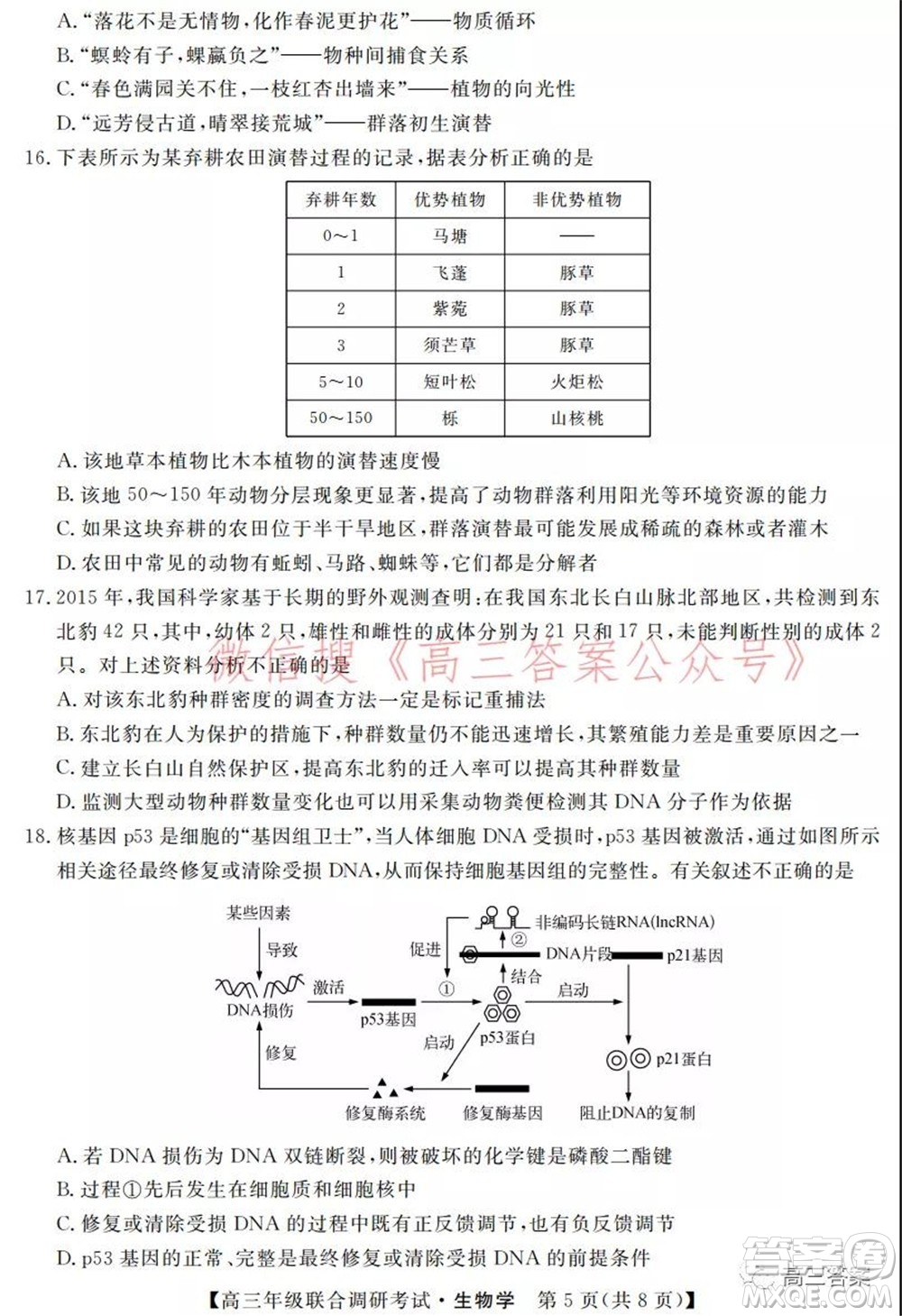 湖北省部分市州2022年元月高三年級聯(lián)合調(diào)研考試生物學(xué)試題及答案