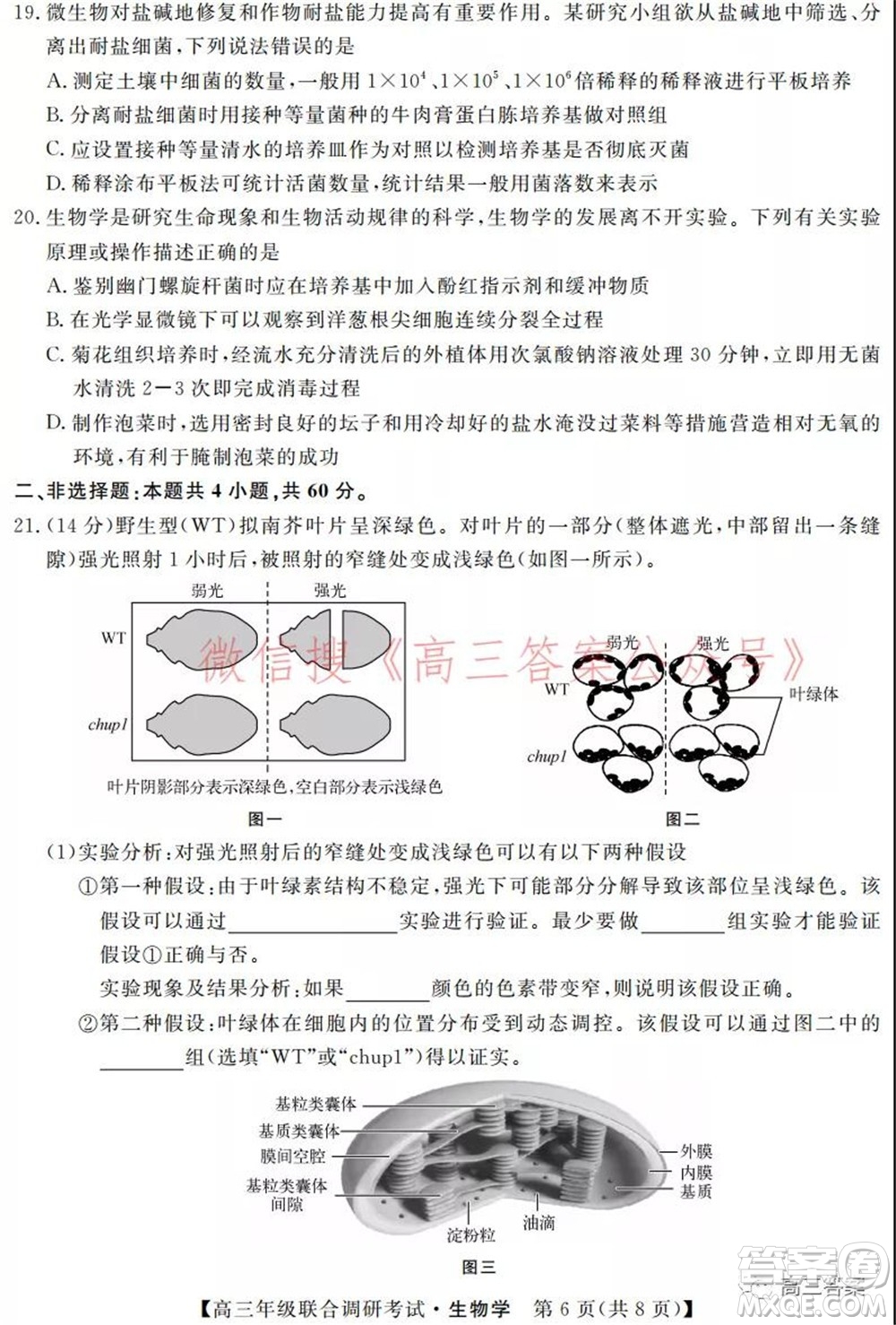 湖北省部分市州2022年元月高三年級聯(lián)合調(diào)研考試生物學(xué)試題及答案