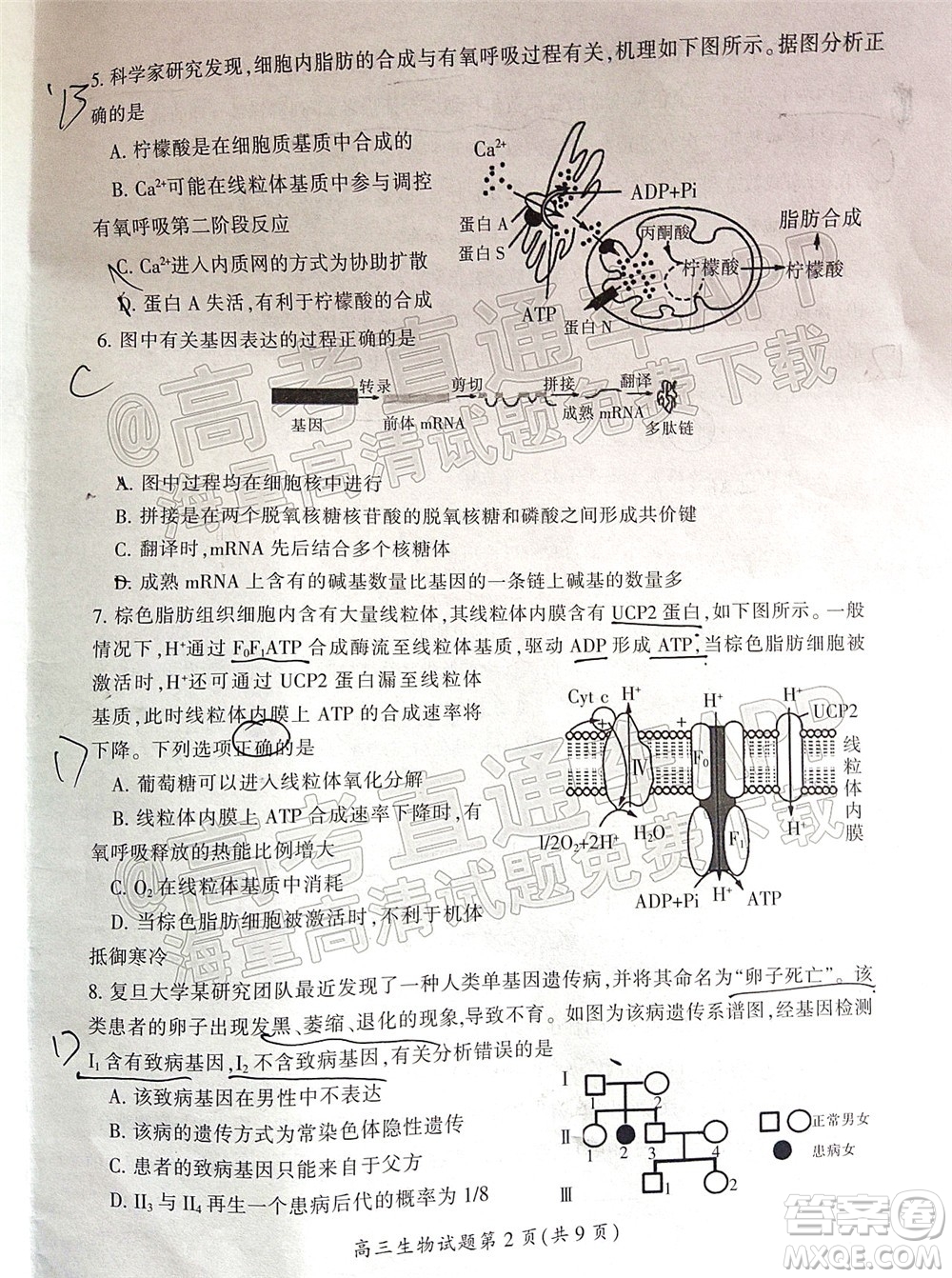 郴州市2022屆高三第二次教學(xué)質(zhì)量監(jiān)測(cè)生物試題及答案