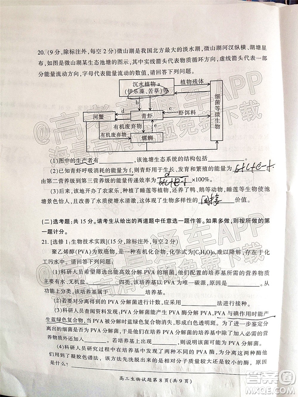 郴州市2022屆高三第二次教學(xué)質(zhì)量監(jiān)測(cè)生物試題及答案