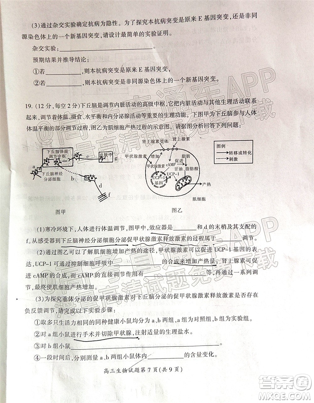 郴州市2022屆高三第二次教學(xué)質(zhì)量監(jiān)測(cè)生物試題及答案