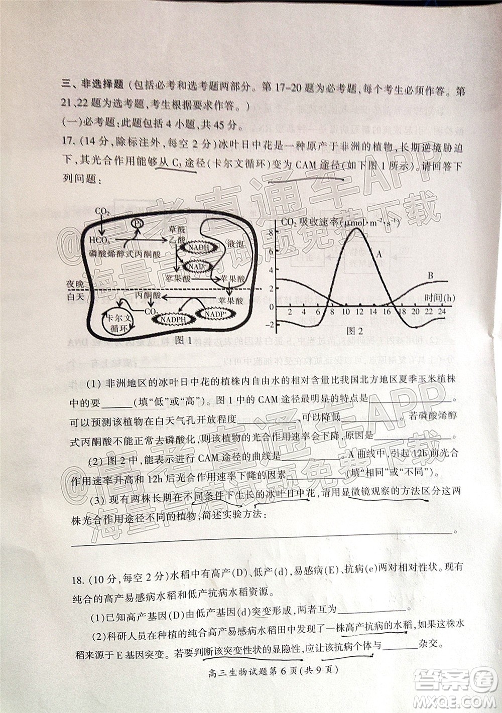 郴州市2022屆高三第二次教學(xué)質(zhì)量監(jiān)測(cè)生物試題及答案