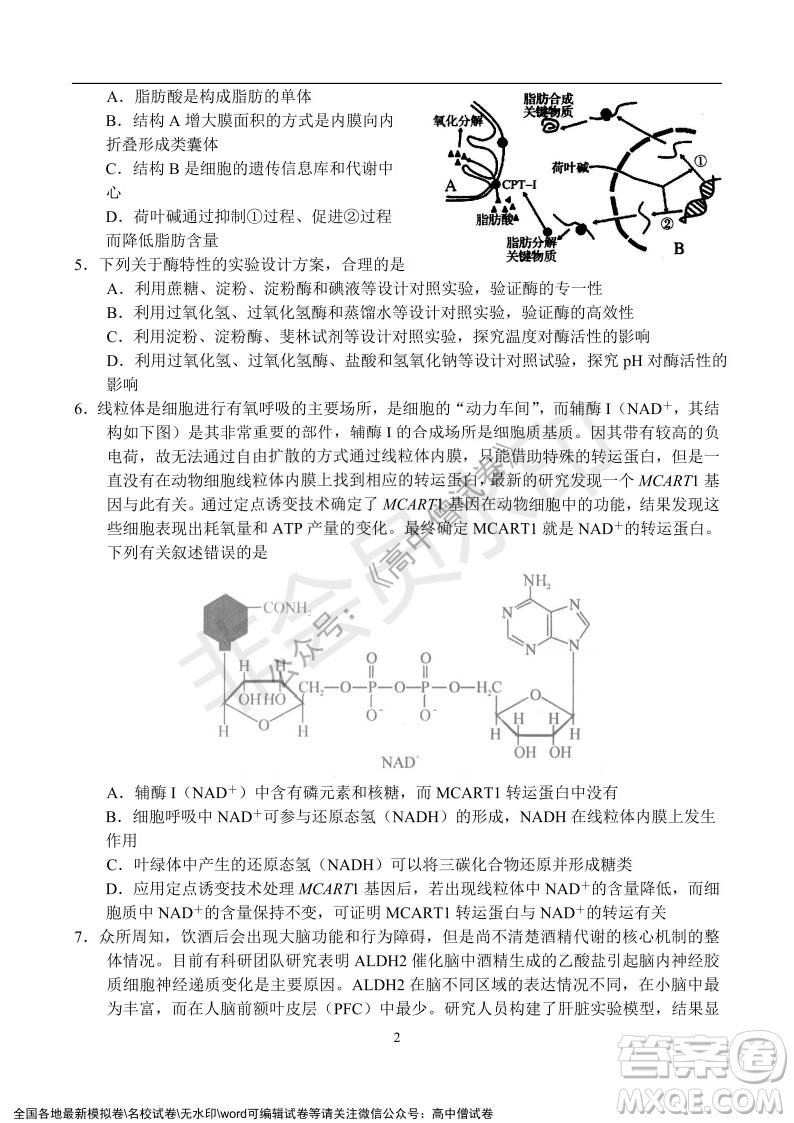 河南省名校聯(lián)盟2021-2022學(xué)年高三年級1月聯(lián)合考試生物試題及答案