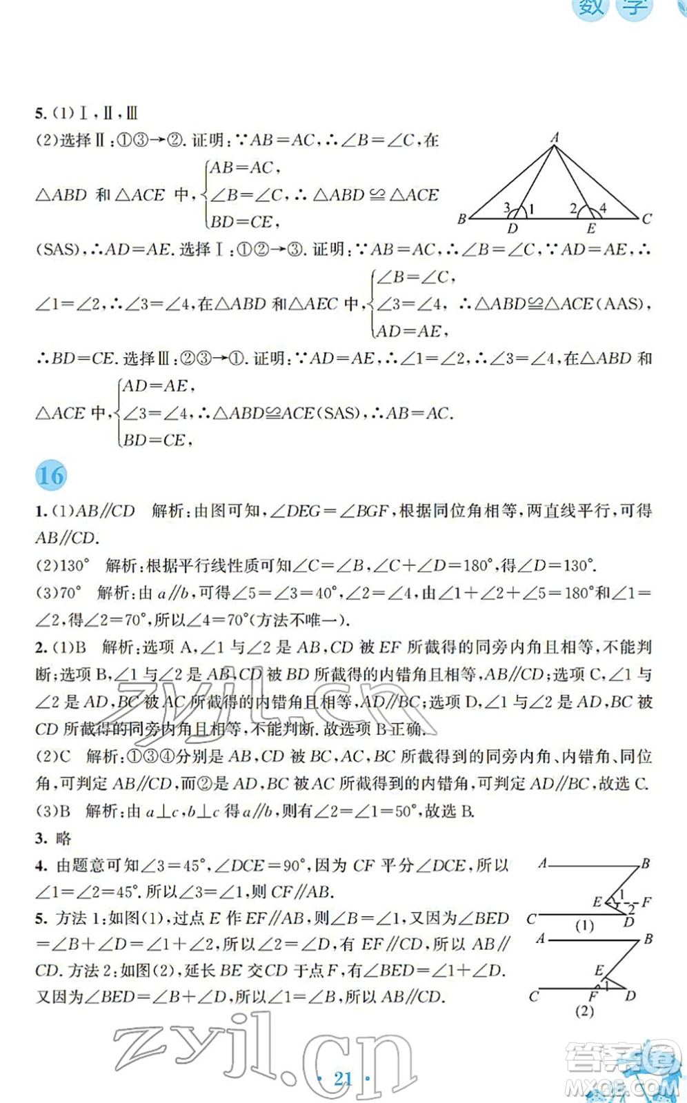 安徽教育出版社2022寒假作業(yè)八年級(jí)數(shù)學(xué)北師大版答案