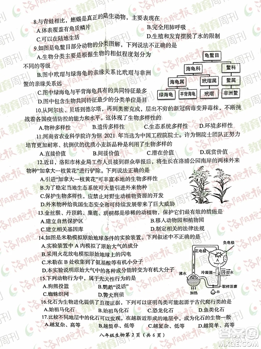 洛陽市2021-2022學(xué)年第一學(xué)期期末考試八年級生物試題及答案