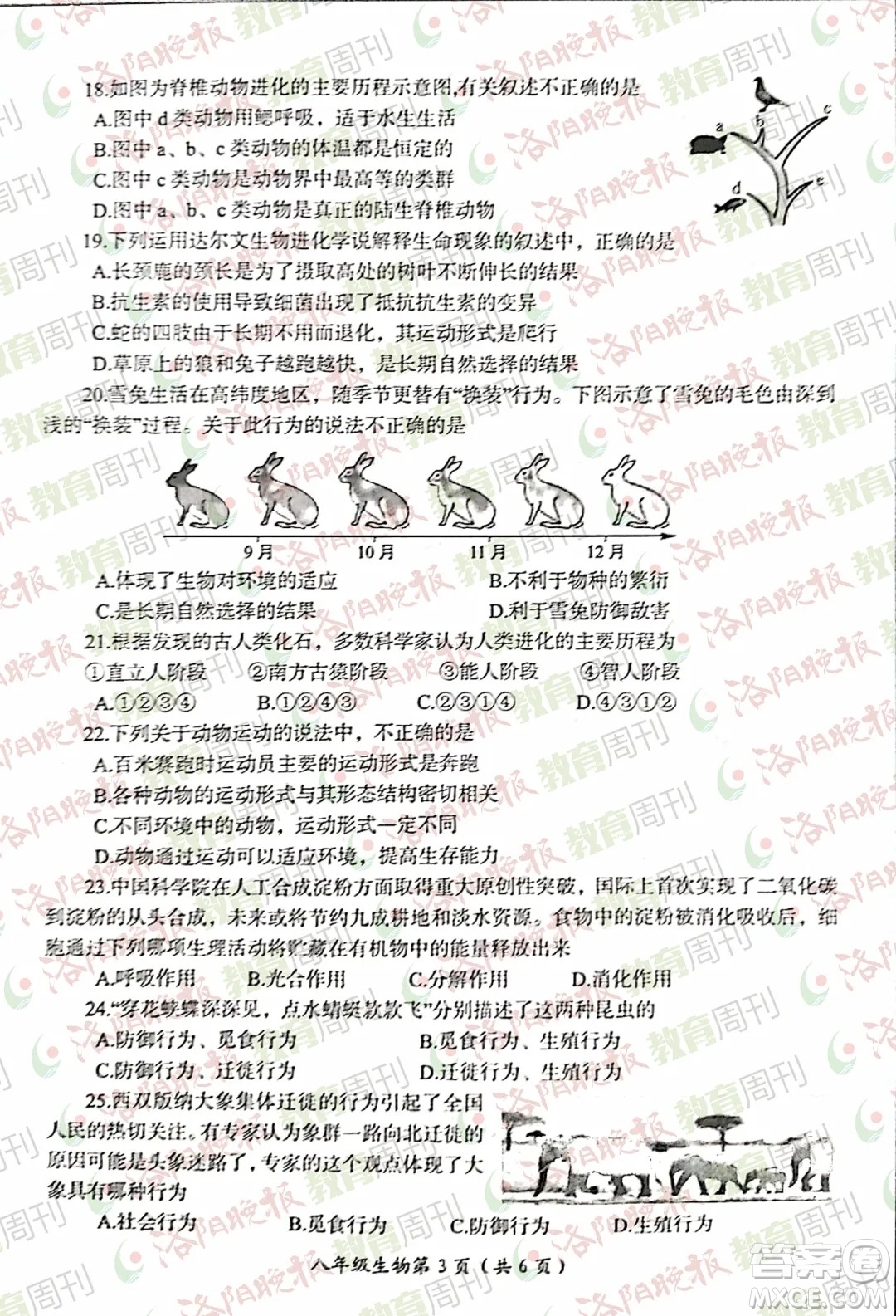 洛陽市2021-2022學(xué)年第一學(xué)期期末考試八年級生物試題及答案
