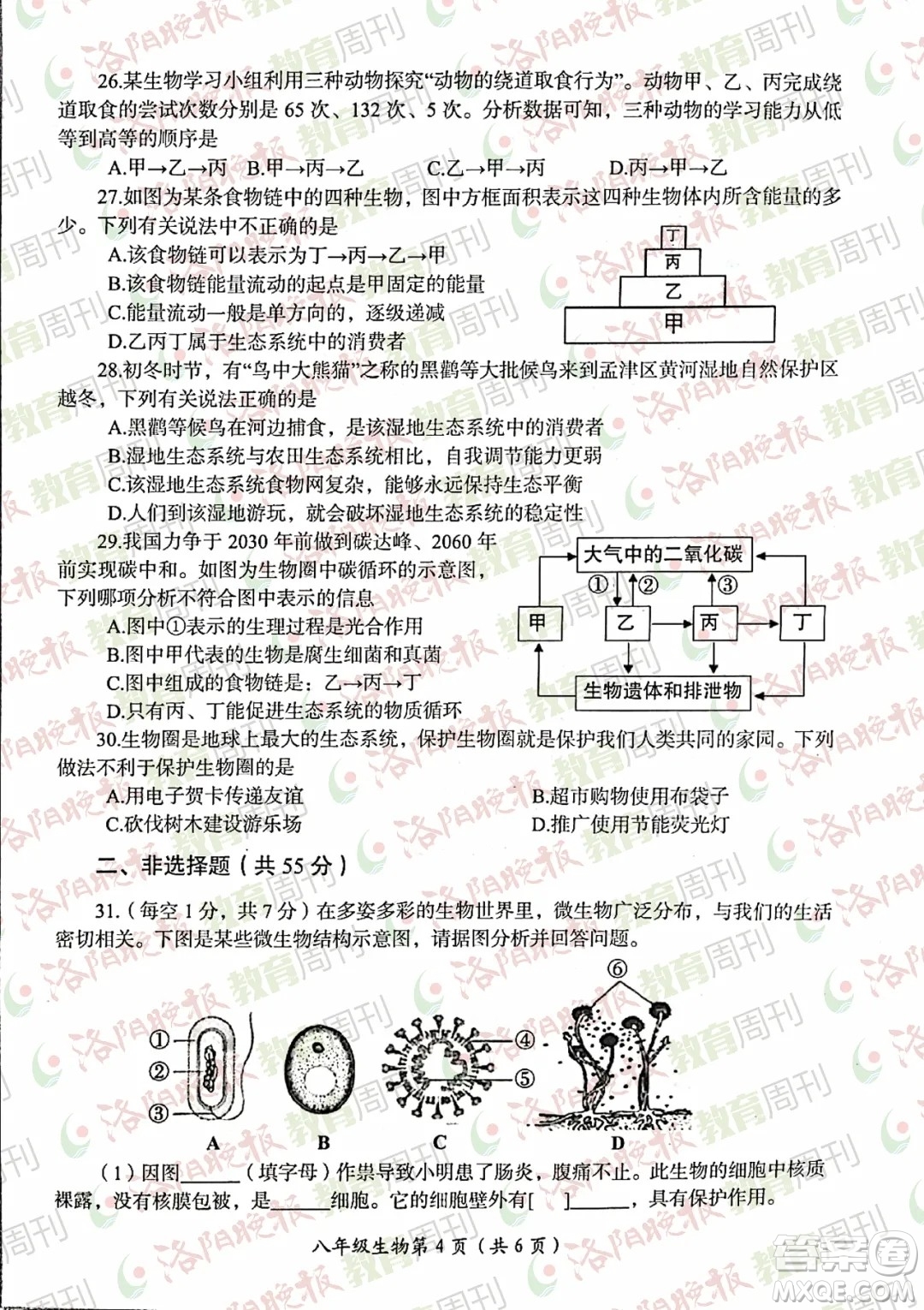 洛陽市2021-2022學(xué)年第一學(xué)期期末考試八年級生物試題及答案