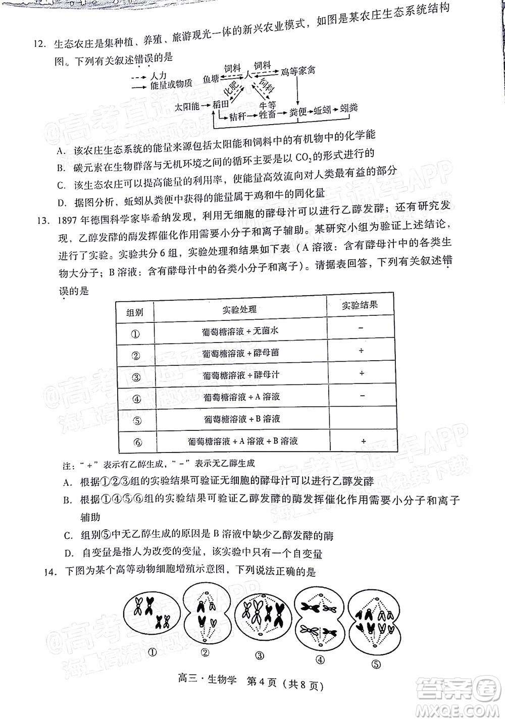 汕尾市2022屆高三學(xué)生調(diào)研考試生物學(xué)試題及答案
