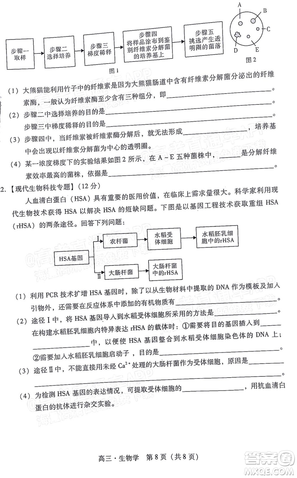 汕尾市2022屆高三學(xué)生調(diào)研考試生物學(xué)試題及答案
