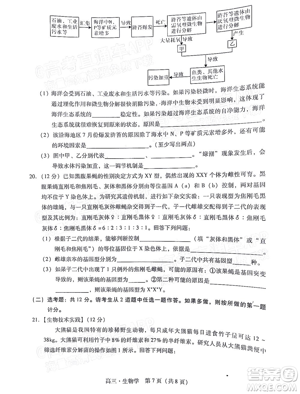 汕尾市2022屆高三學(xué)生調(diào)研考試生物學(xué)試題及答案