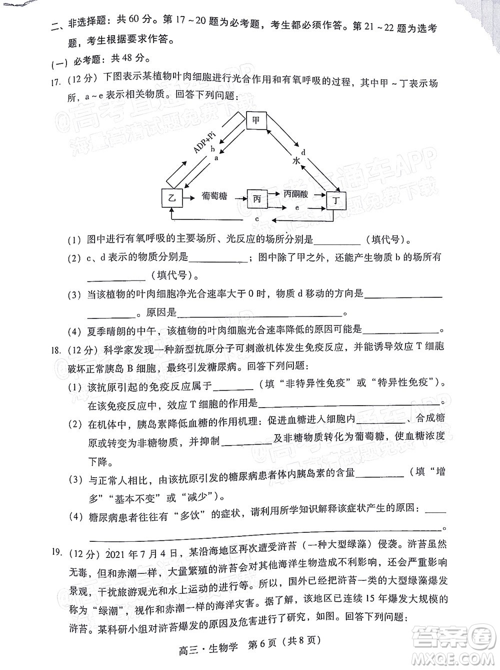 汕尾市2022屆高三學(xué)生調(diào)研考試生物學(xué)試題及答案