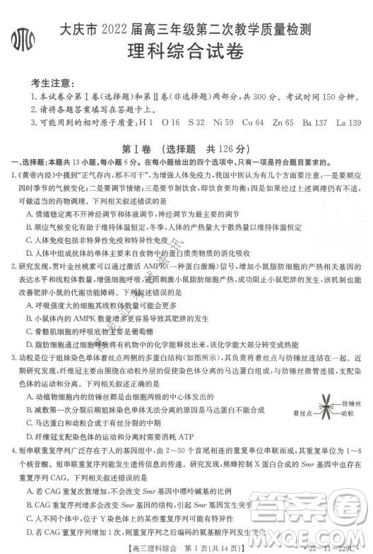 大慶市2022屆高三年級第二次教學(xué)質(zhì)量檢測理科綜合試題及答案