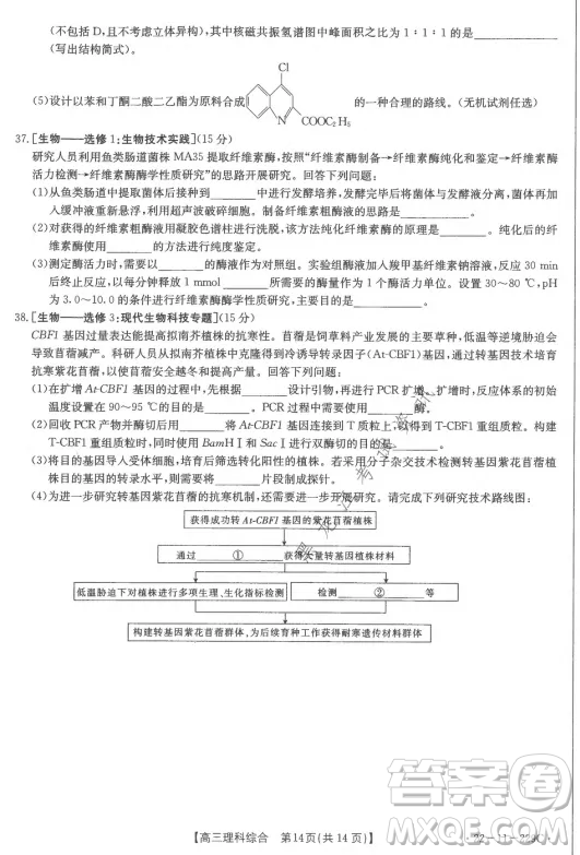大慶市2022屆高三年級第二次教學(xué)質(zhì)量檢測理科綜合試題及答案