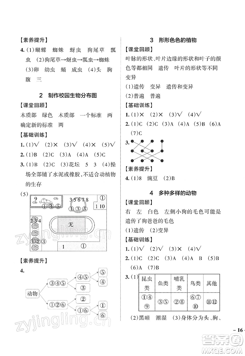 陜西師范大學(xué)出版總社2022PASS小學(xué)學(xué)霸作業(yè)本六年級(jí)科學(xué)下冊JK教科版答案