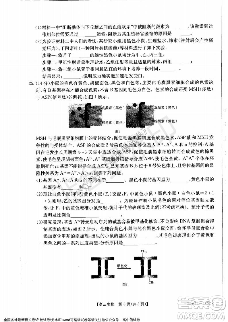 遼寧省縣級重點高中協(xié)作體2021-2022學年高三上學期期末考試生物試題及答案