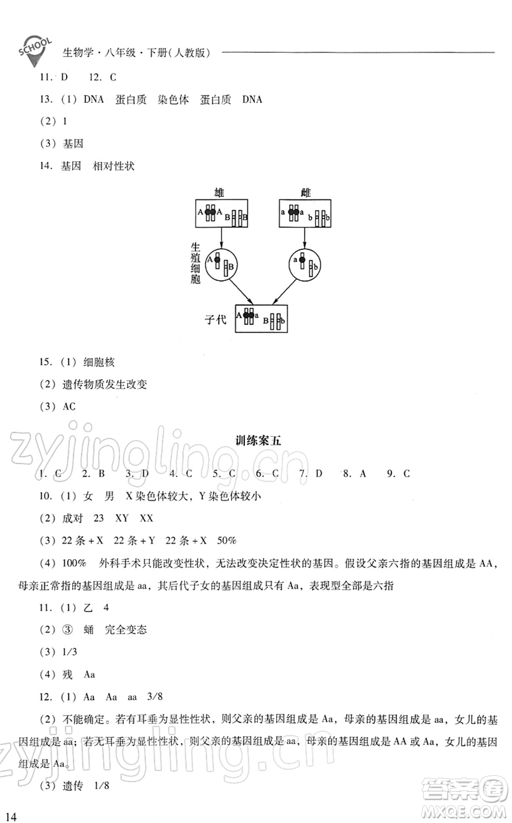 山西教育出版社2022新課程問題解決導(dǎo)學(xué)方案八年級(jí)生物下冊人教版答案