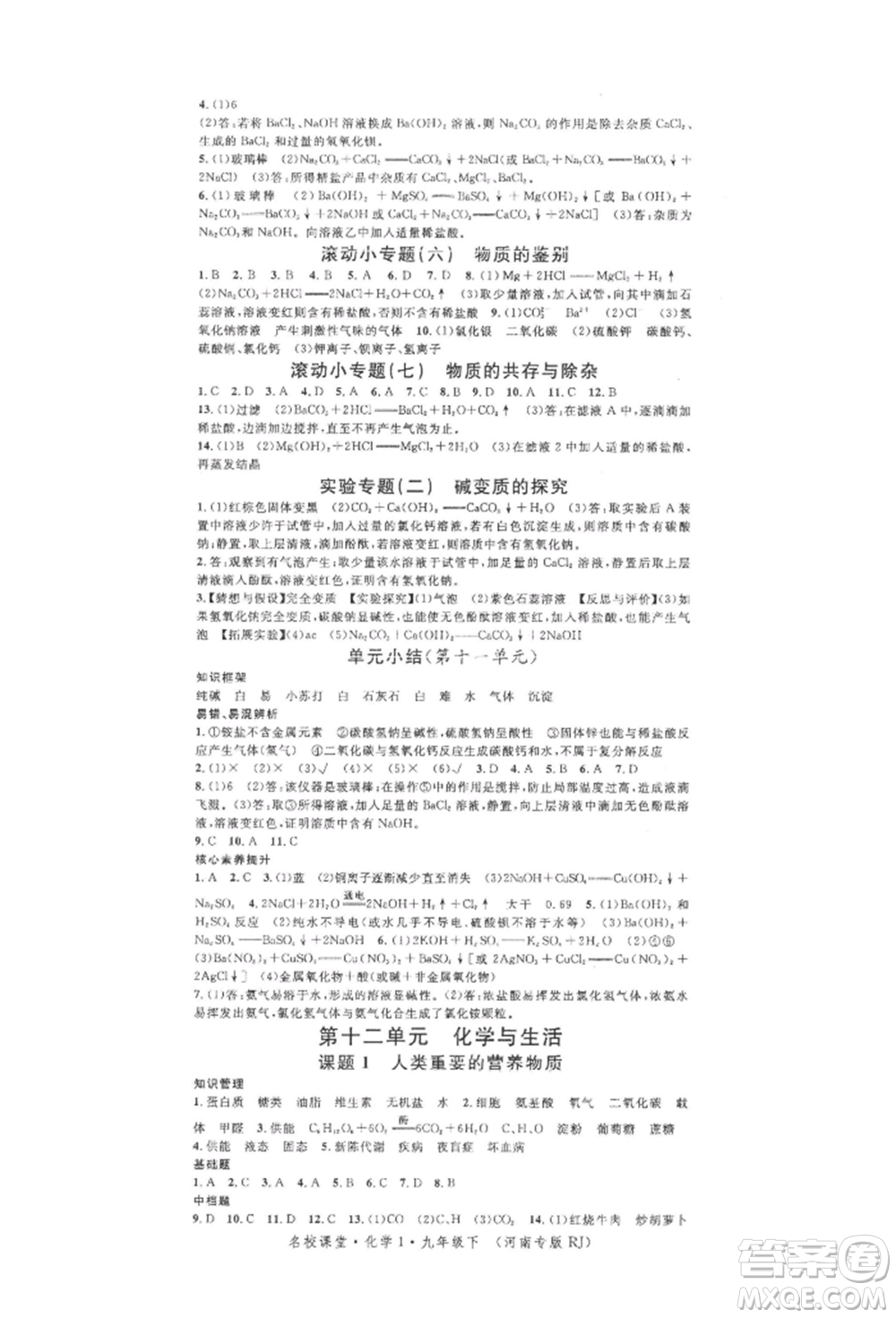 開明出版社2022名校課堂背記手冊(cè)九年級(jí)化學(xué)下冊(cè)人教版河南專版參考答案