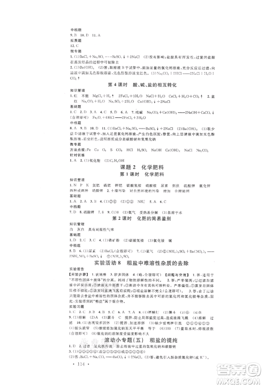 開明出版社2022名校課堂背記手冊(cè)九年級(jí)化學(xué)下冊(cè)人教版河南專版參考答案