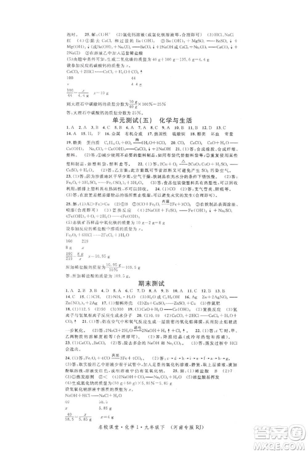 開明出版社2022名校課堂背記手冊(cè)九年級(jí)化學(xué)下冊(cè)人教版河南專版參考答案