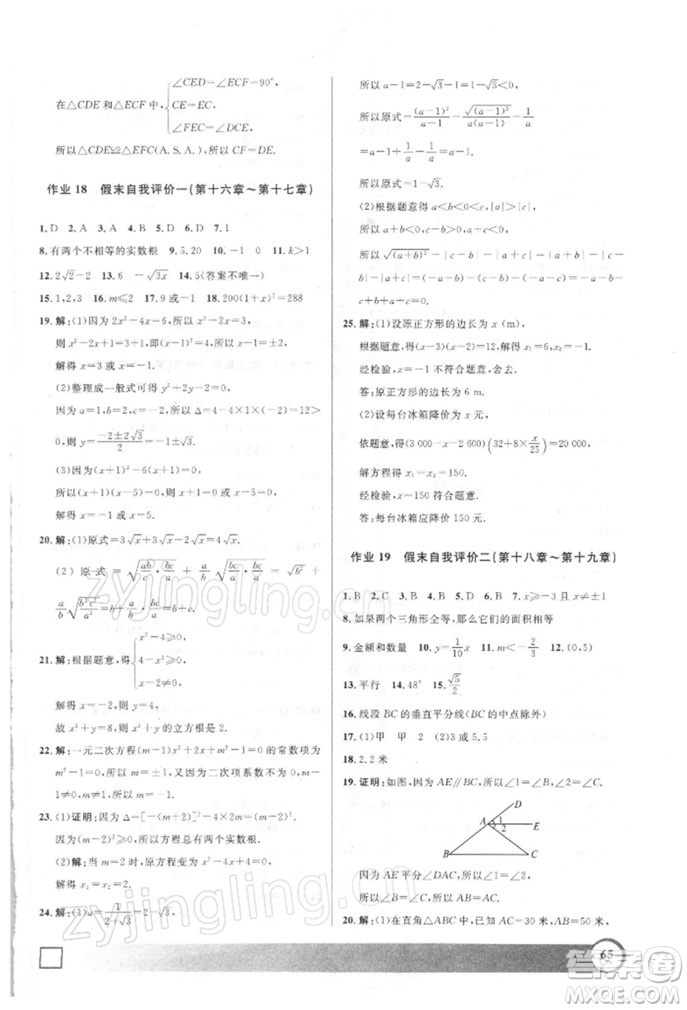 上海大學(xué)出版社2022鐘書金牌寒假作業(yè)導(dǎo)與練八年級數(shù)學(xué)通用版上海專版參考答案
