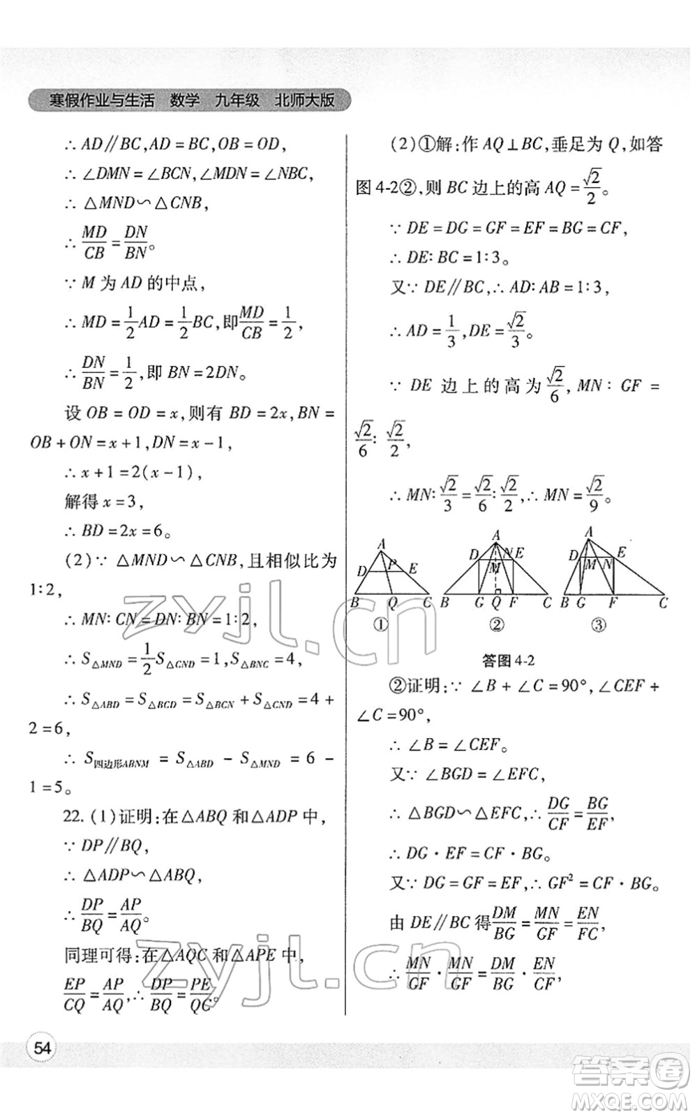 陜西師范大學(xué)出版總社2022寒假作業(yè)與生活九年級數(shù)學(xué)北師大版答案