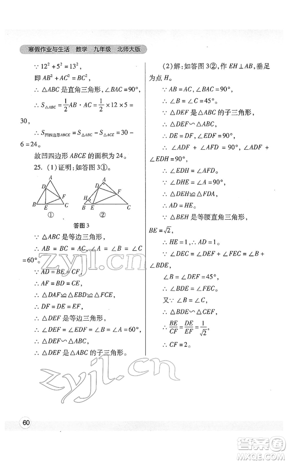 陜西師范大學(xué)出版總社2022寒假作業(yè)與生活九年級數(shù)學(xué)北師大版答案