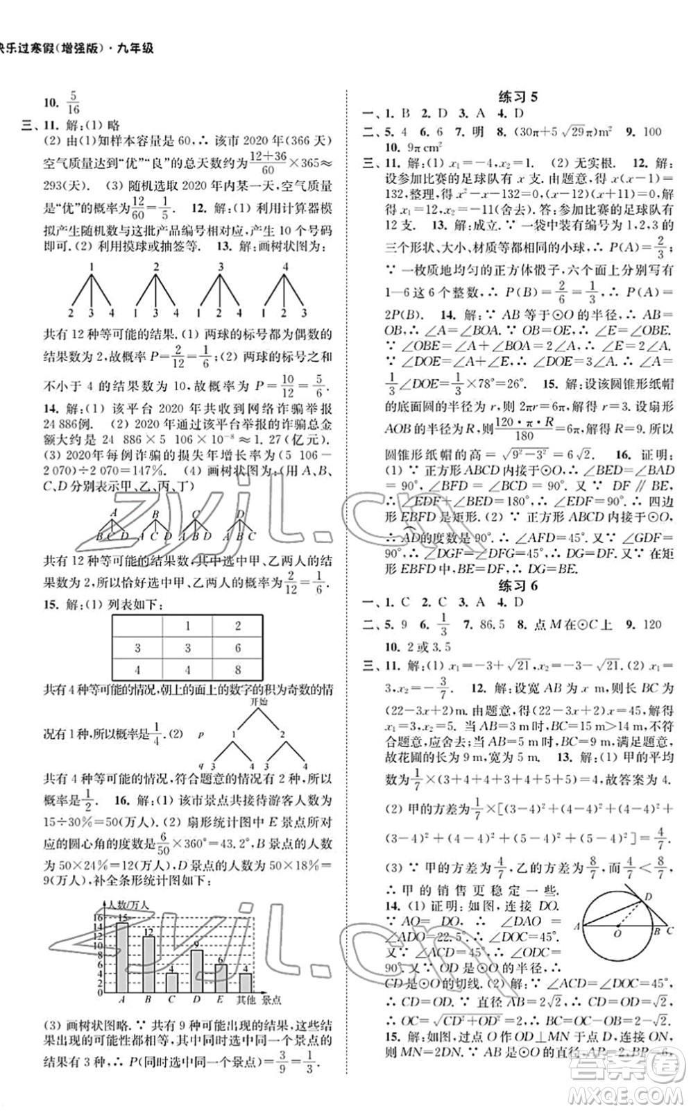 江蘇鳳凰科學(xué)技術(shù)出版社2022快樂過寒假九年級(jí)合訂本通用版增強(qiáng)版答案