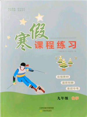 天津教育出版社2022寒假課程練習九年級化學人教版參考答案