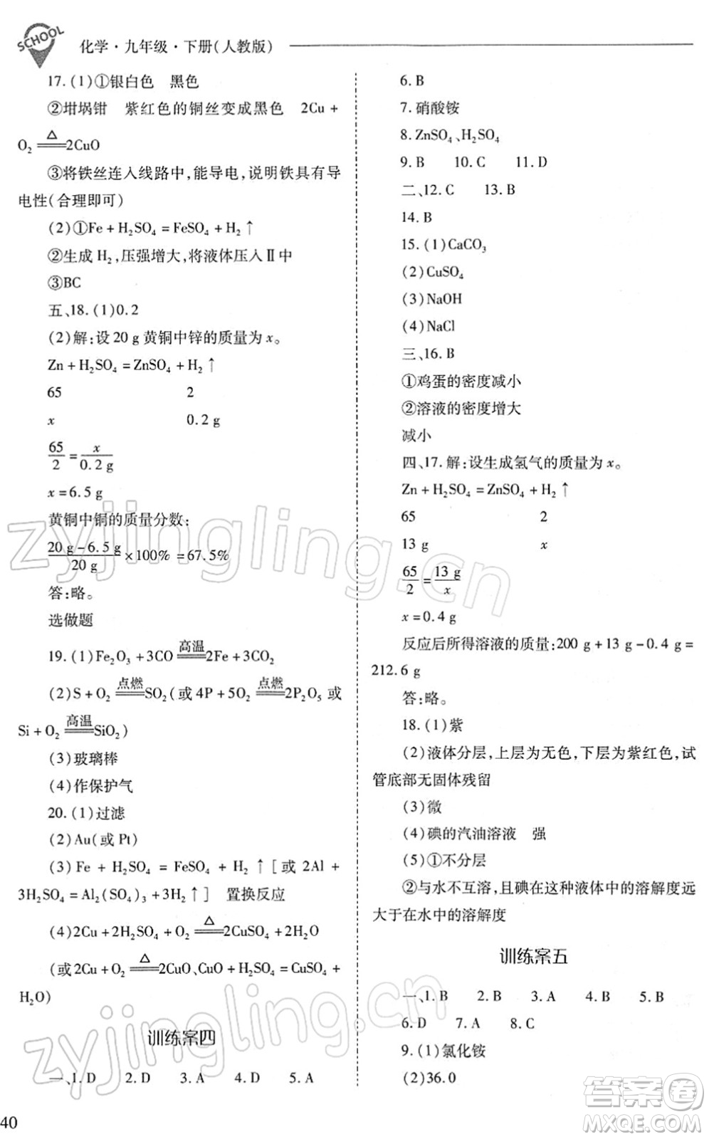 山西教育出版社2022新課程問題解決導(dǎo)學(xué)方案九年級化學(xué)下冊人教版答案