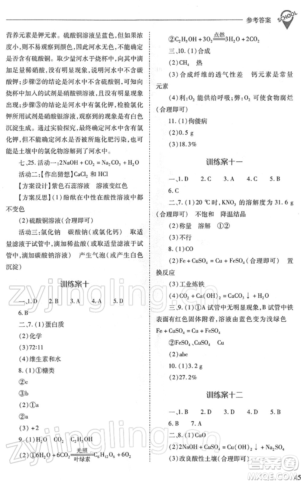 山西教育出版社2022新課程問題解決導(dǎo)學(xué)方案九年級化學(xué)下冊人教版答案